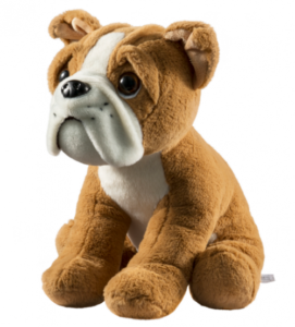 bulldog teddies