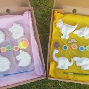 Tj’s Fun Box ”Paint Your Own Sets”